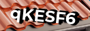Введите код с картинки