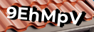 Введите код с картинки