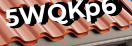 Введите код с картинки