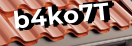 Введите код с картинки