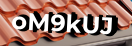 Введите код с картинки