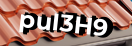 Введите код с картинки