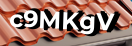 Введите код с картинки