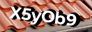 Введите код с картинки