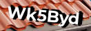 Введите код с картинки