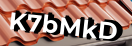 Введите код с картинки