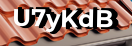 Введите код с картинки