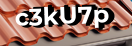 Введите код с картинки