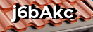 Введите код с картинки