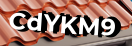 Введите код с картинки