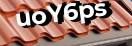 Введите код с картинки