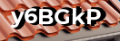 Введите код с картинки