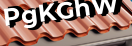 Введите код с картинки