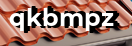 Введите код с картинки