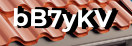 Введите код с картинки