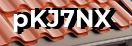 Введите код с картинки