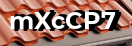 Введите код с картинки