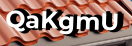 Введите код с картинки