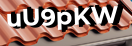 Введите код с картинки