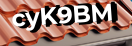 Введите код с картинки