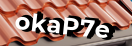 Введите код с картинки