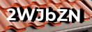 Введите код с картинки