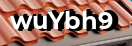 Введите код с картинки