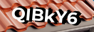 Введите код с картинки