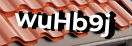 Введите код с картинки
