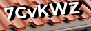 Введите код с картинки