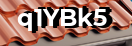 Введите код с картинки