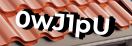 Введите код с картинки