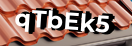 Введите код с картинки