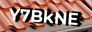 Введите код с картинки
