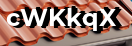 Введите код с картинки