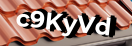 Введите код с картинки