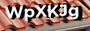 Введите код с картинки