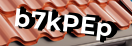 Введите код с картинки