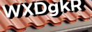 Введите код с картинки