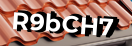Введите код с картинки