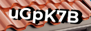 Введите код с картинки