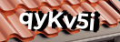 Введите код с картинки