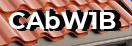 Введите код с картинки