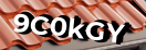 Введите код с картинки