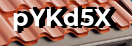 Введите код с картинки