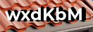 Введите код с картинки