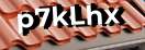 Введите код с картинки