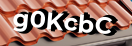 Введите код с картинки