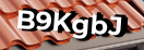 Введите код с картинки