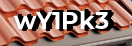 Введите код с картинки